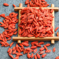 Bacche secche di goji organiche crude da vendere